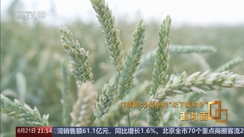 《面对面》 20260621