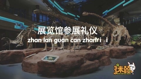 多米豆豆 去恐龙馆参观必须知道的事