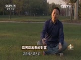致富经 《致富经》 20151119 吃苦吃出来的财富