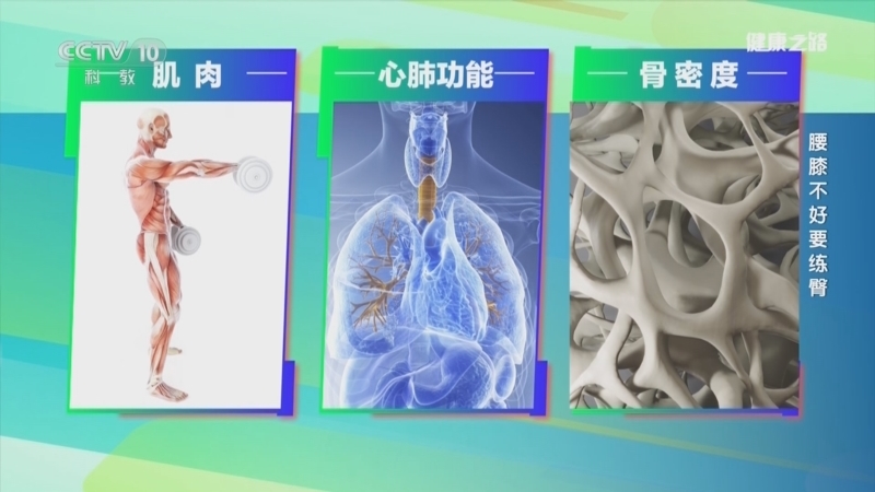 健康之路 《健康之路》 20241127 腰膝不好要练臀