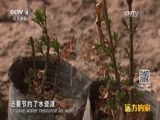 远方的家 《远方的家》长城内外 第175集 沙漠奇迹：阿拉善左旗 20160624