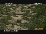 远方的家 《远方的家》 20130801 百山百川行（74）——秦岭 云横秦岭