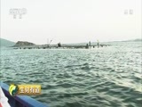 生财有道 《生财有道》 20180717 夏日经济系列：走进福建平潭