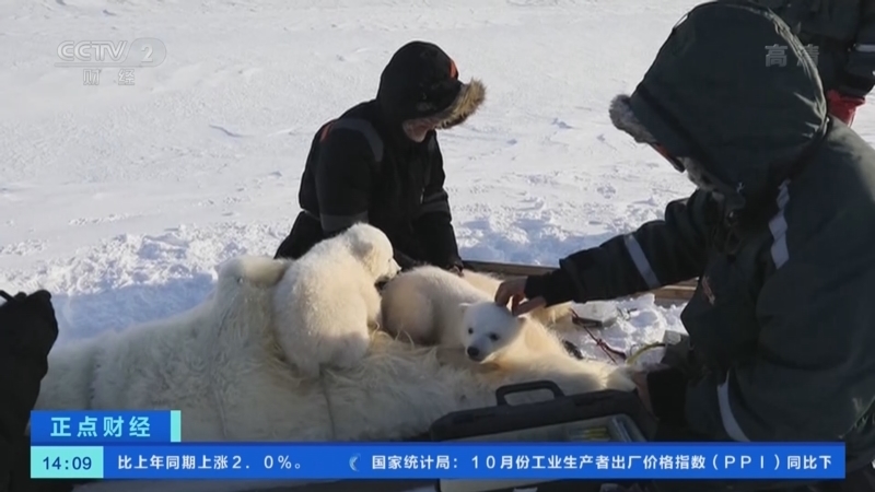 正点财经 《正点财经》 20221109 14:00