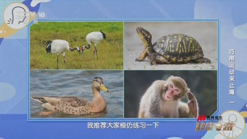 健康之路 《健康之路》 20230602 巧用运动来止痛（一）