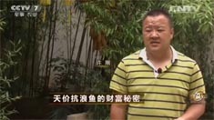 致富经 [致富经]天价抗浪鱼的财富秘密 20160712