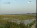 夕阳红 [夕阳红]百岁传奇——刘爱英(2009.07.10)（标清）