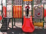小小智慧树 《小小智慧树》 20171113