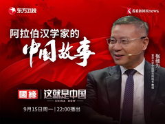 这就是中国 阿拉伯汉学家的中国故事