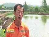 生财有道 《生财有道》 20180706 乡村振兴中国行：走进吉林柳河
