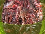 走近科学 《走进科学》 20160713 有毒？小龙虾！