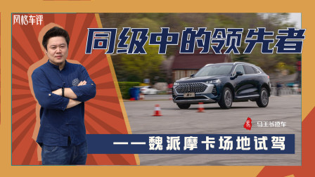 同级中的领先者，魏派摩卡场地试驾
