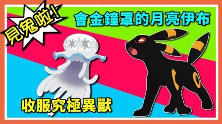 酷爱精灵宝可梦 第一季 打不死的月亮伊布 神出鬼没的究极异兽
