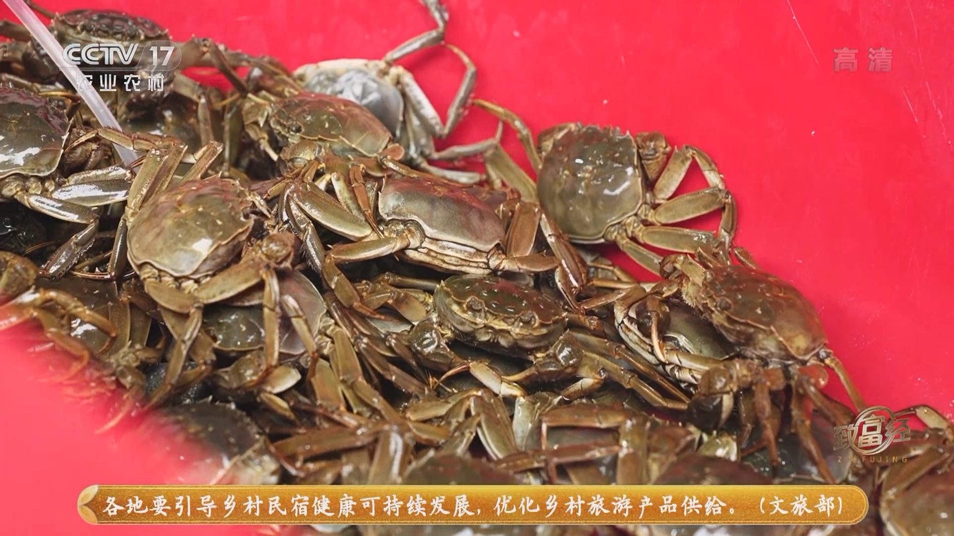 《致富经》 20211221 老周解困局 一地生三财