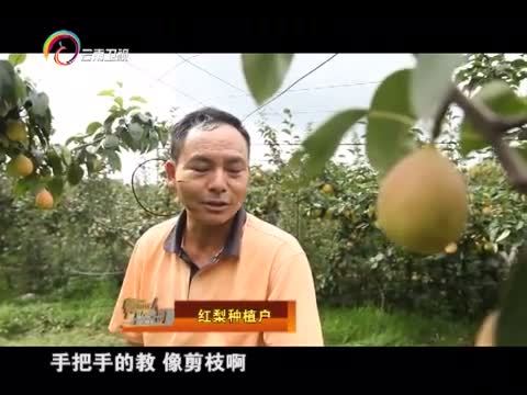情暖人间 《情暖人间》 20150824 筑梦云南影像志 云南红梨之母舒群