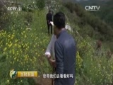 生财有道 《生财有道》 20160418 高铁开启新财路——走进安徽南陵