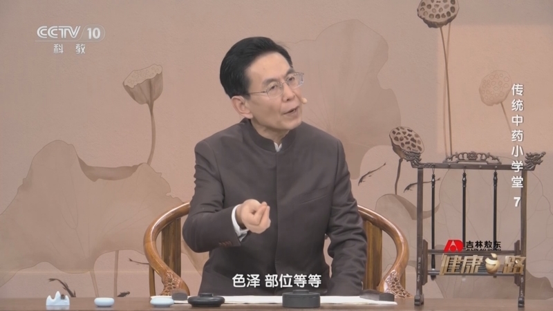 健康之路 《健康之路》 20240615 传统中药小学堂 7