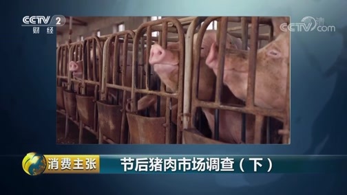 消费主张 《消费主张》 20190311 节后猪肉市场调查（下）