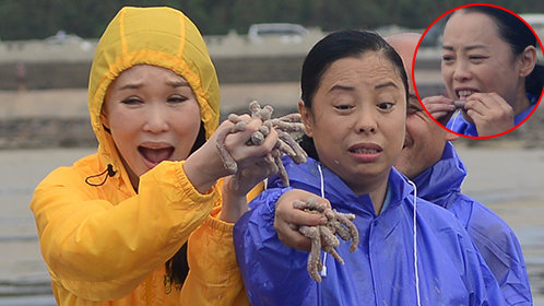好恶！实拍黄绮珊手抓活沙虫 欲生吃