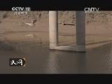 天网 《天网》 20140506 “斑马纹”的诱惑