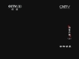 动物世界 《动物世界》 20140801 我爱白狮（上）