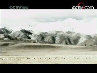 民歌&middot;中国 民歌·中国 2008年 第113期