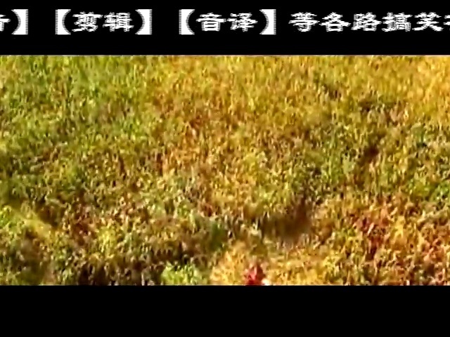 歪歌社团 祝贺山东高密市开拍剧版“红高粱”《新红高粱传奇》