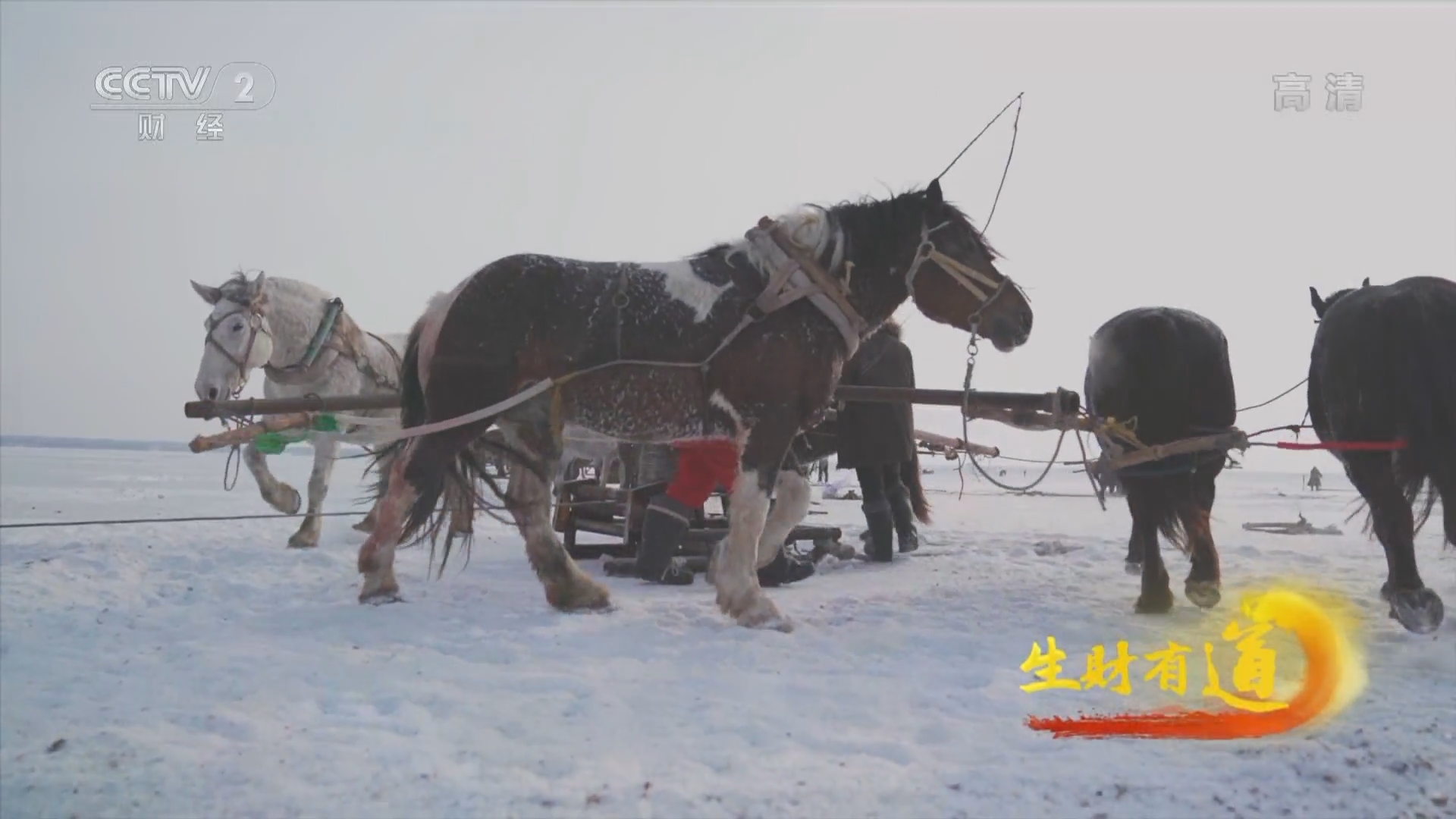 生财有道 《生财有道》 20220126 云聚中国年——吉林松原：查干湖畔渔家年
