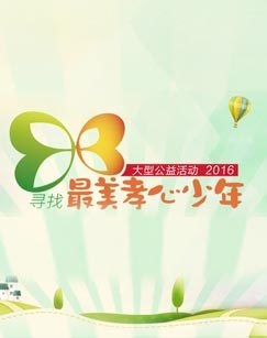 2016寻找最美孝心少年颁奖典礼CCTV-1 海报