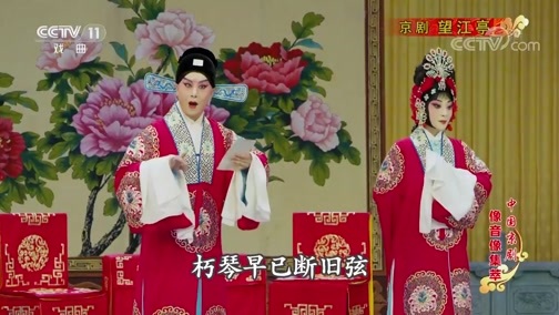 中国京剧音配像精萃 《中国京剧像音像集萃》 20190827 京剧《望江亭》