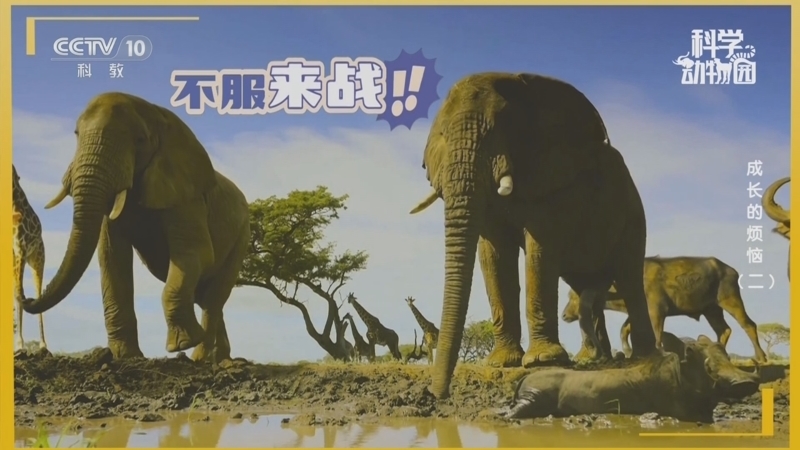 科学动物园 《科学动物园》 20250825 成长的烦恼（二）