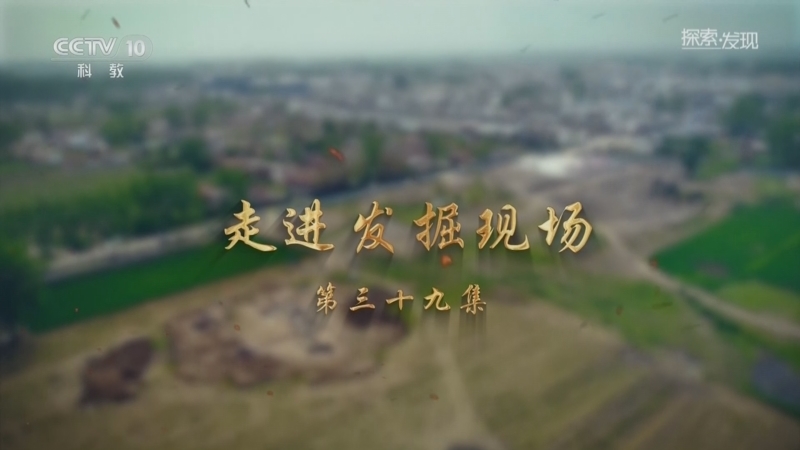 《探索·发现》 20260513 走进发掘现场（39）