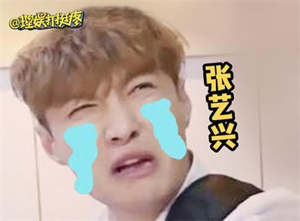 理娱打挺疼. 张艺兴竟上了142个热搜！