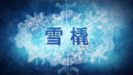 冬奥大百科 冬季奥林匹克运动会竞赛项目知识介绍片：雪橇