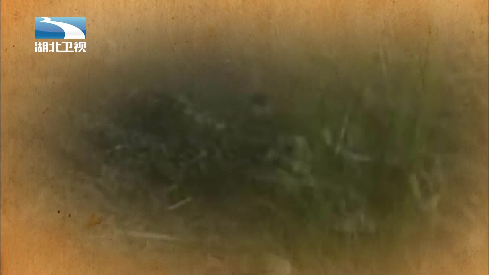 伟大长征 《伟大长征》第9集