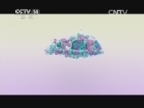 智慧树 《智慧树》 20140716