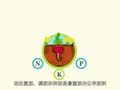 化学大师 化学肥料 英雄的十二任务