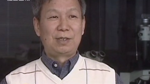 经典传奇 仙岛上的神秘尸骨