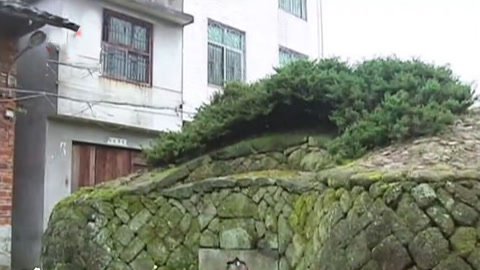 经典传奇 怪墓疑云