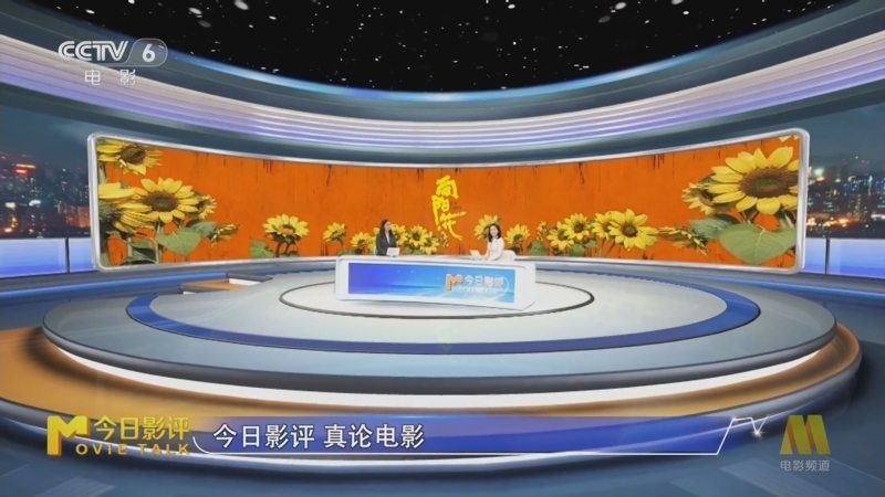 今日影评 《今日影评》 20250409 《向阳·花》