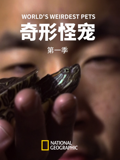 奇形怪宠 第一季 海报
