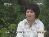 生财有道 [生财有道]富民一方的杏花鸡(20130104)