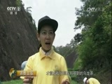 消费主张 《消费主张》 20170516 茶叶市场消费调查：武夷岩茶