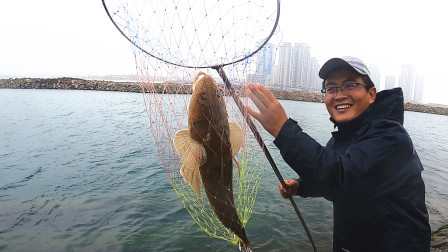 思乡渔夫赶海 海花岛能钓鱼的次数不多了，渔夫抢在被拆前，搞几条大鱼