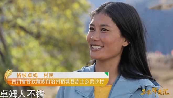 三农群英汇 《三农群英汇》 20201205 人美心美的“格桑花”