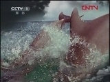 我们的地球 不尽长河 我们的地球 浅海（下）[人与自然] 20120229