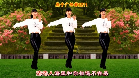 广场舞《夜深的时候好想你》愿陪你度过每一个春夏秋冬