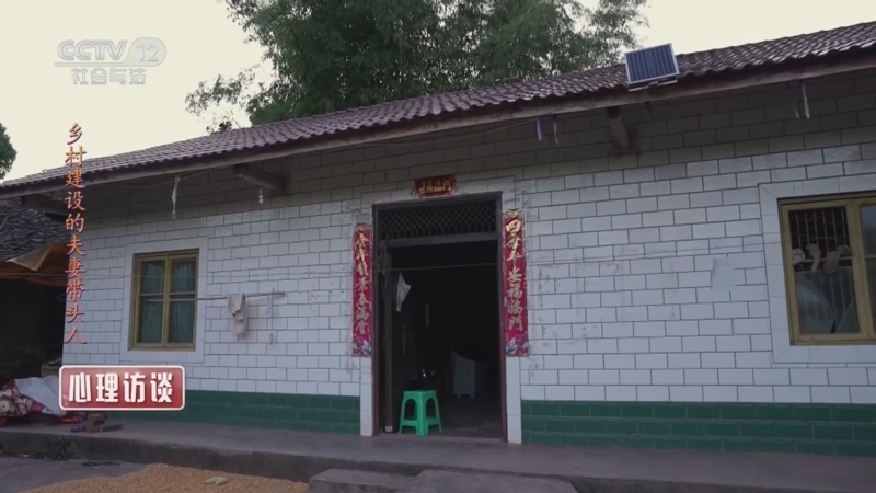 心理访谈 《心理访谈》 20230103 乡村建设的夫妻带头人