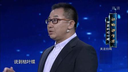 奇幻科学城 动物逃生术 神奇的枯叶蝶