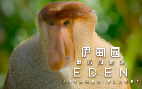 加里曼丹岛